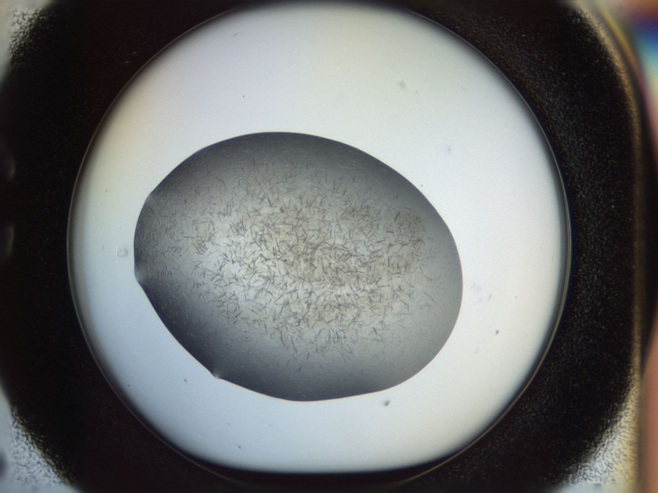 02oq_C5_ImagerDefaults_6.jpg