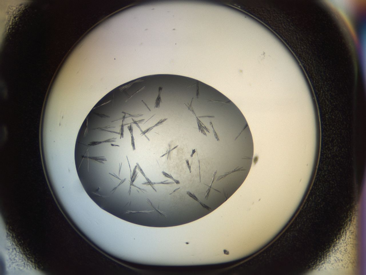 02oq_C8_ImagerDefaults_7.jpg