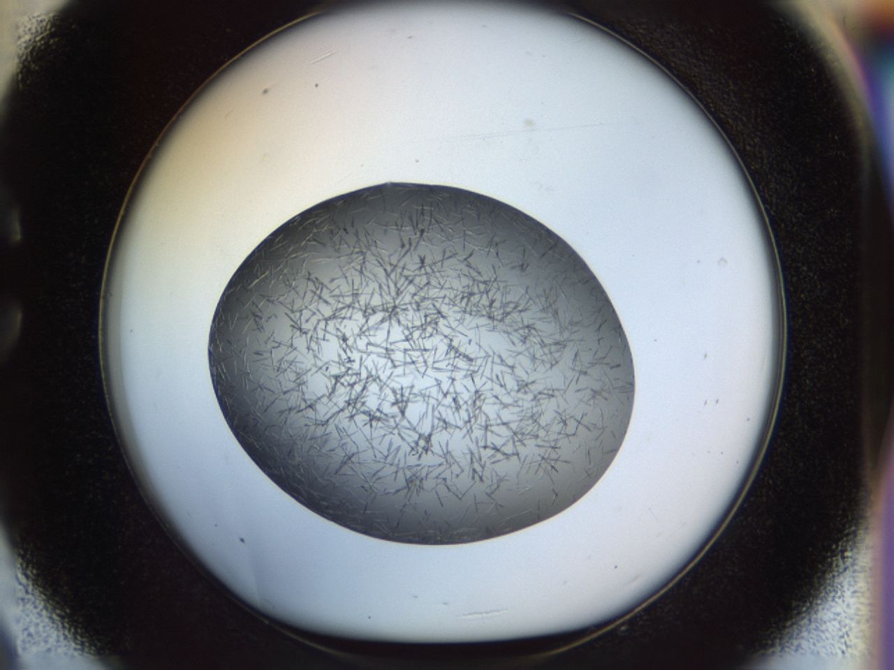 02oq_C9_ImagerDefaults_7.jpg