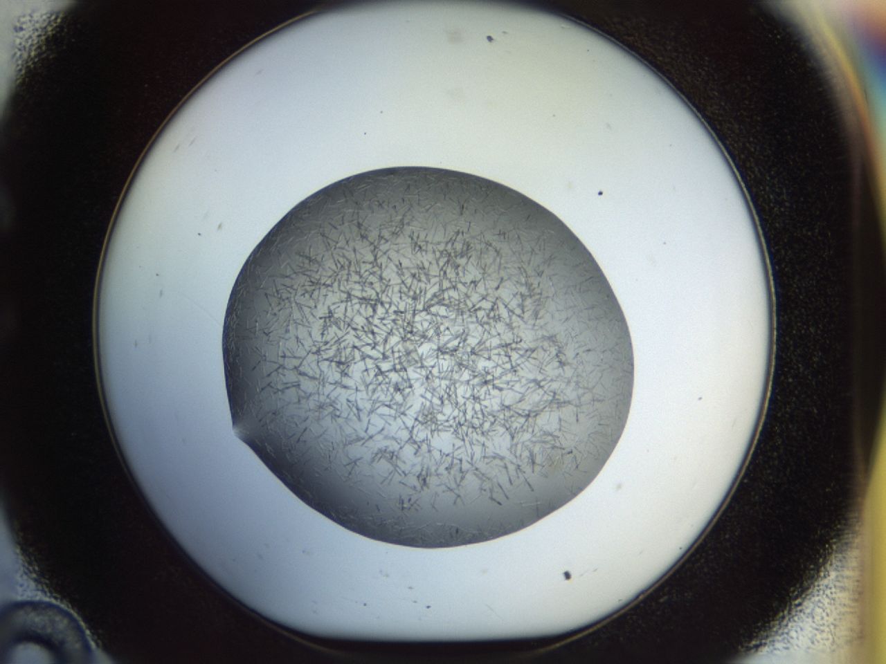 02oq_C10_ImagerDefaults_7.jpg