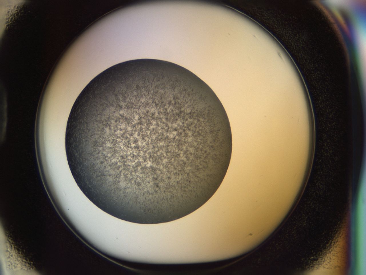 02oq_D3_ImagerDefaults_6.jpg