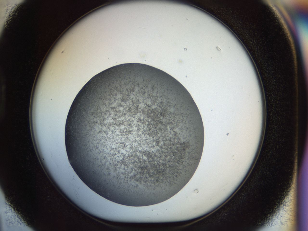 02oq_D4_ImagerDefaults_6.jpg