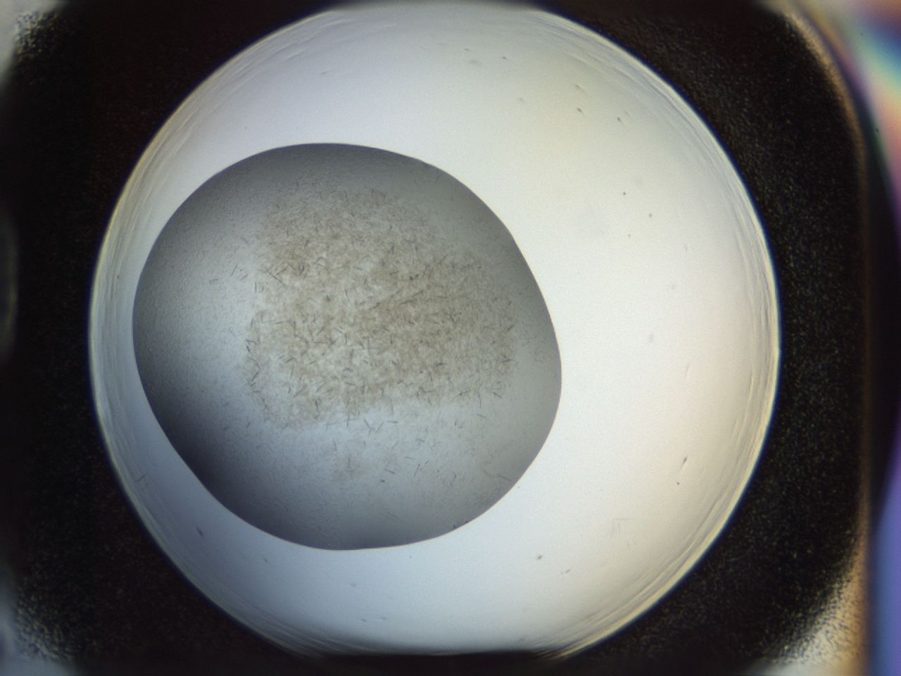 02oq_D5_ImagerDefaults_6.jpg