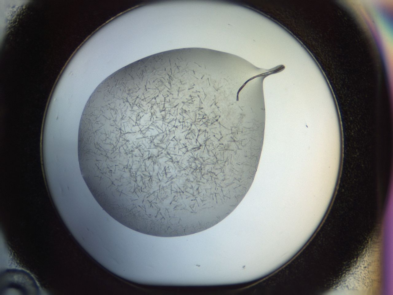 02oq_D10_ImagerDefaults_7.jpg