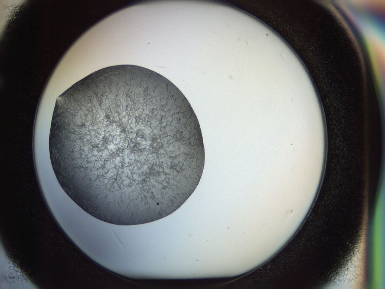 02oq_E4_ImagerDefaults_6.jpg