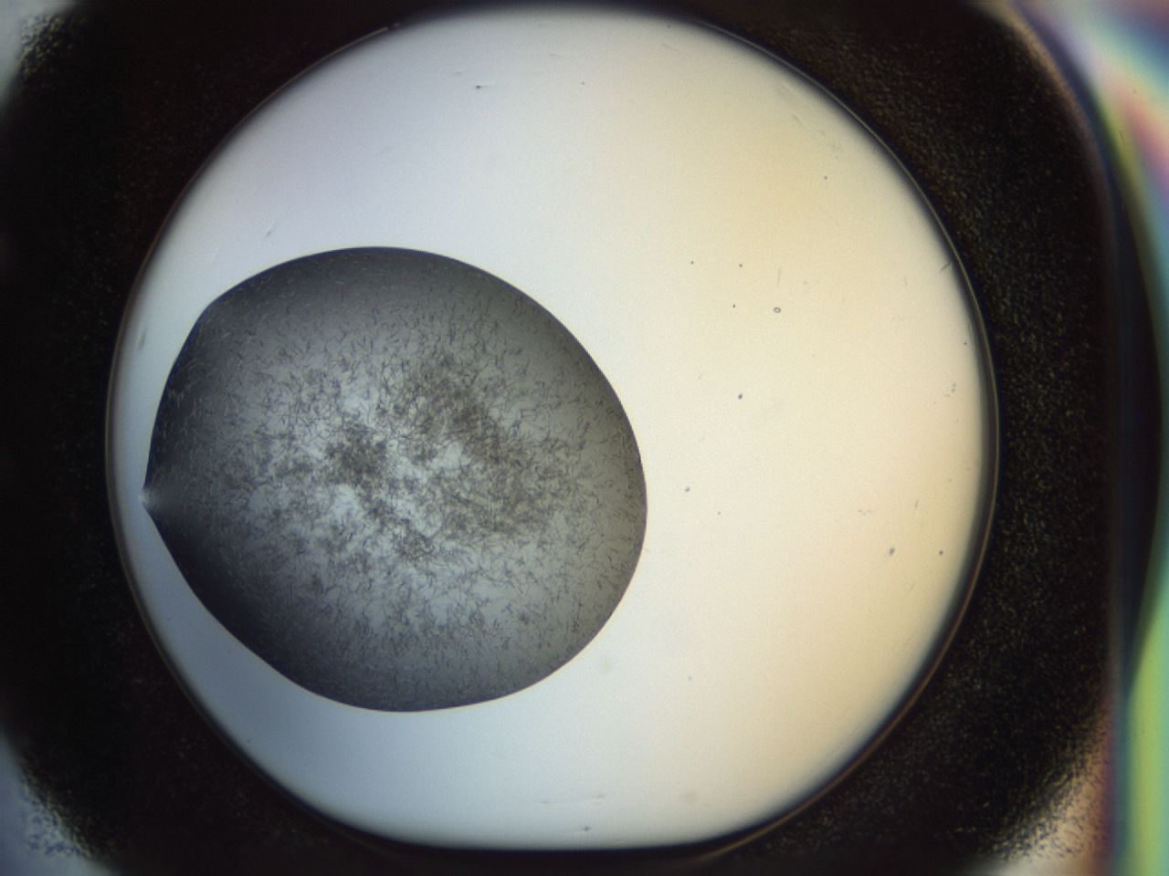 02oq_E5_ImagerDefaults_6.jpg