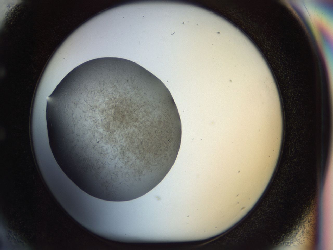 02oq_E6_ImagerDefaults_6.jpg