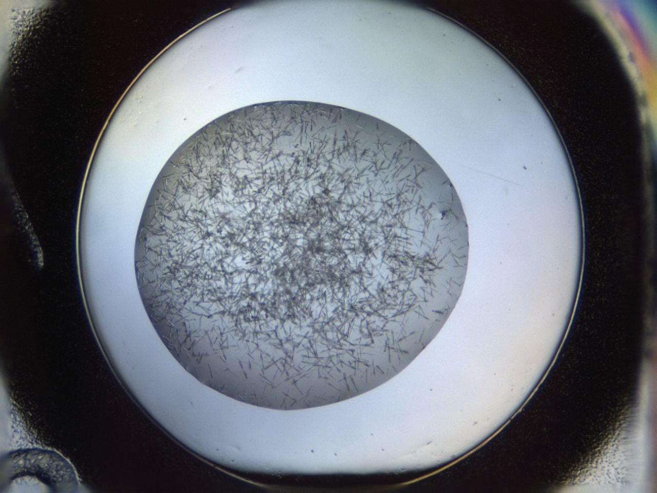 02oq_A12_ImagerDefaults_6.jpg
