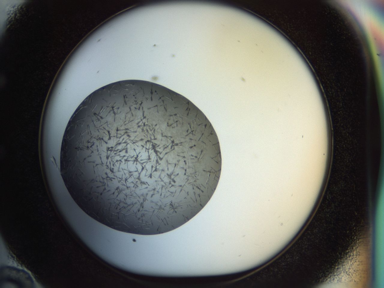 02oq_E10_ImagerDefaults_6.jpg