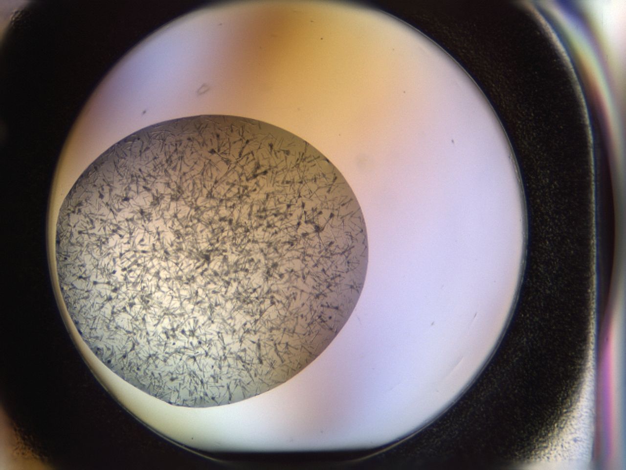 02oq_F3_ImagerDefaults_6.jpg