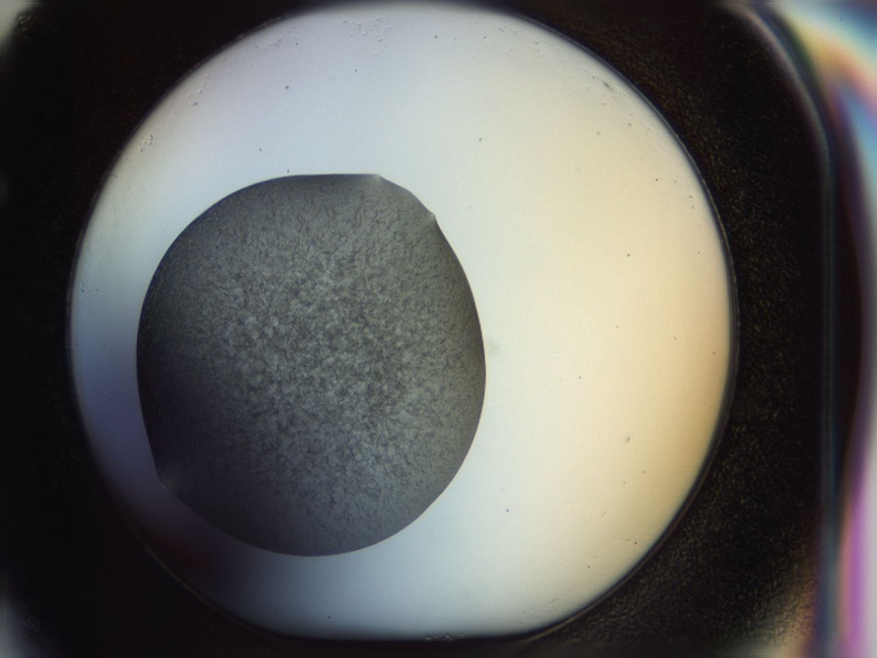 02oq_F4_ImagerDefaults_6.jpg