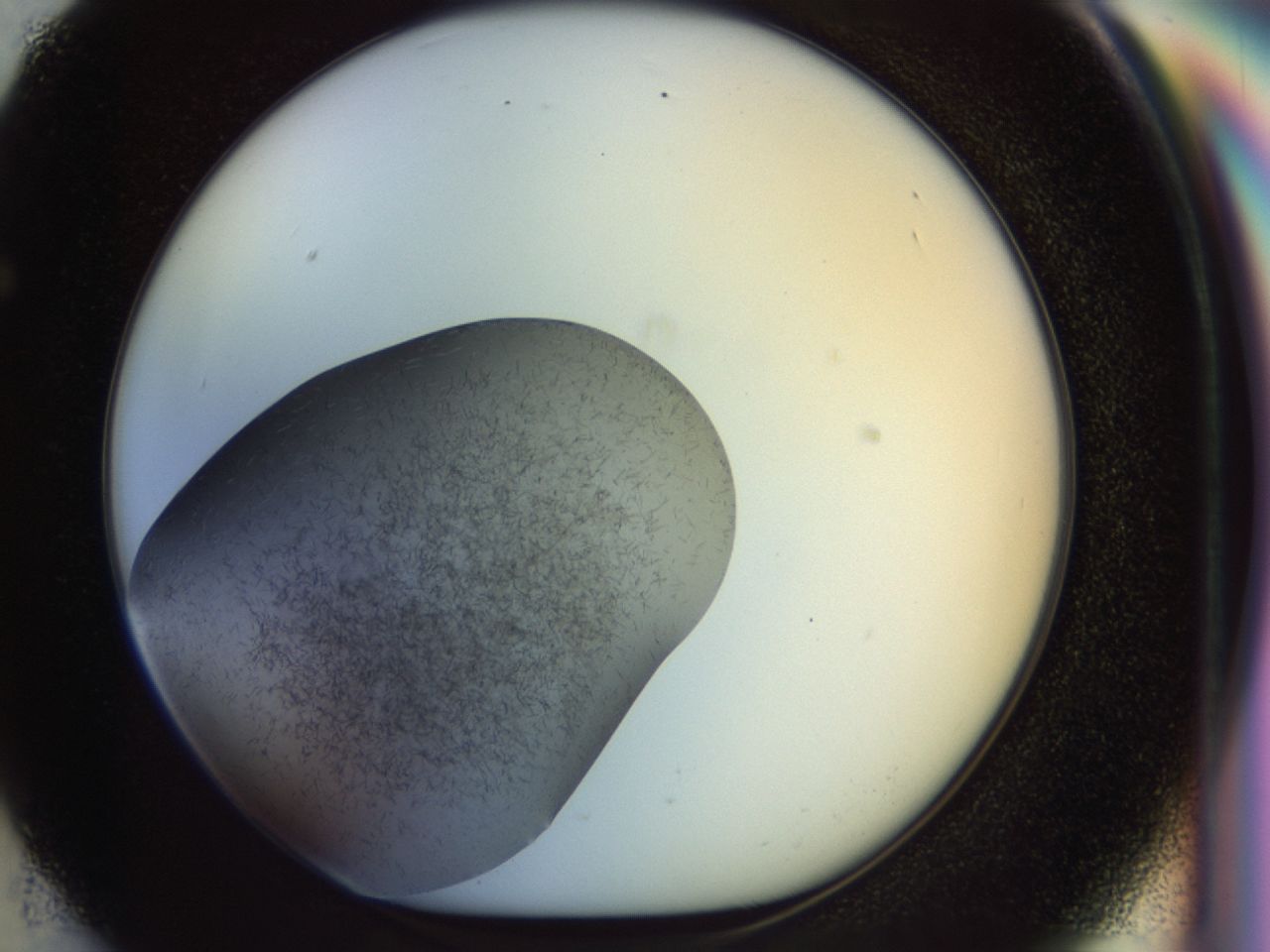02oq_F5_ImagerDefaults_6.jpg