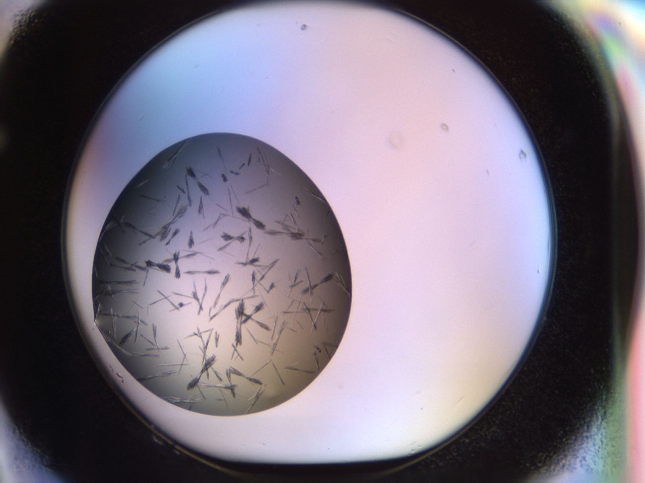 02oq_F8_ImagerDefaults_7.jpg