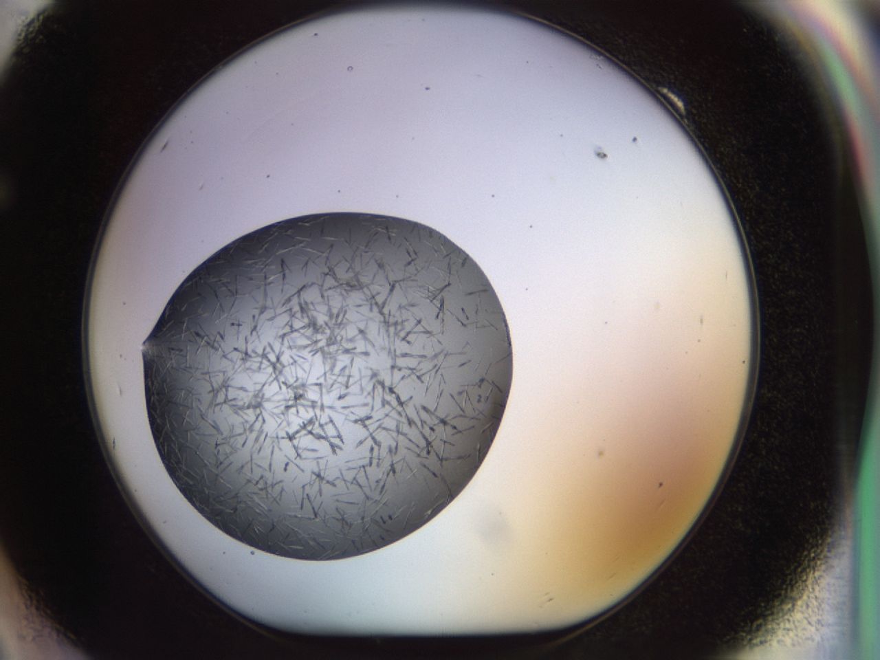 02oq_F9_ImagerDefaults_7.jpg