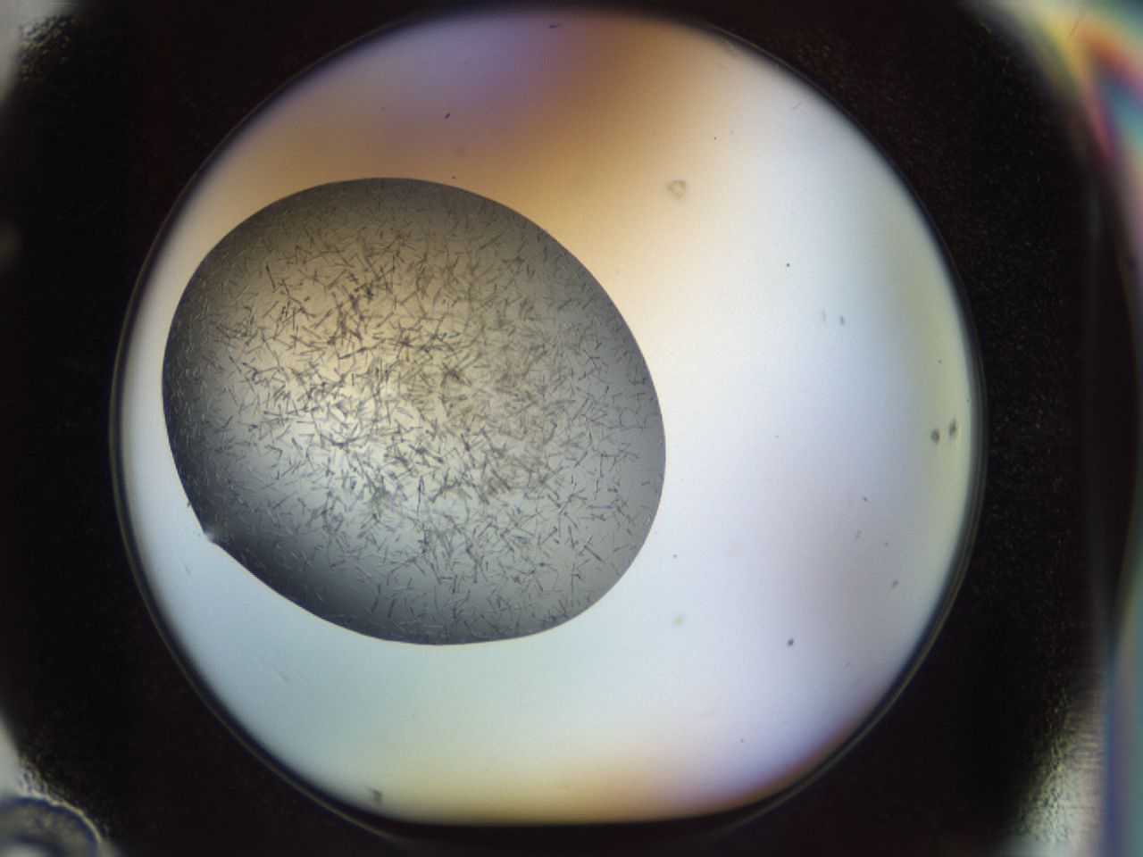 02oq_F10_ImagerDefaults_6.jpg