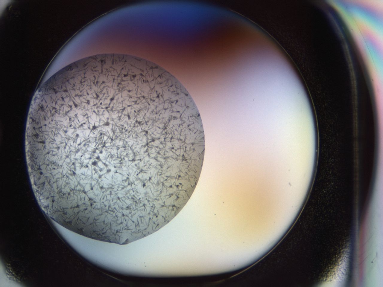 02oq_G2_ImagerDefaults_6.jpg