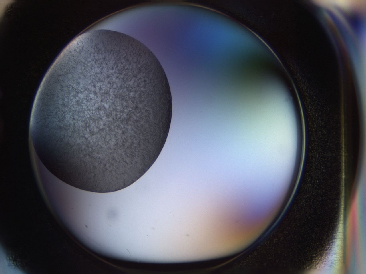 02oq_G3_ImagerDefaults_6.jpg