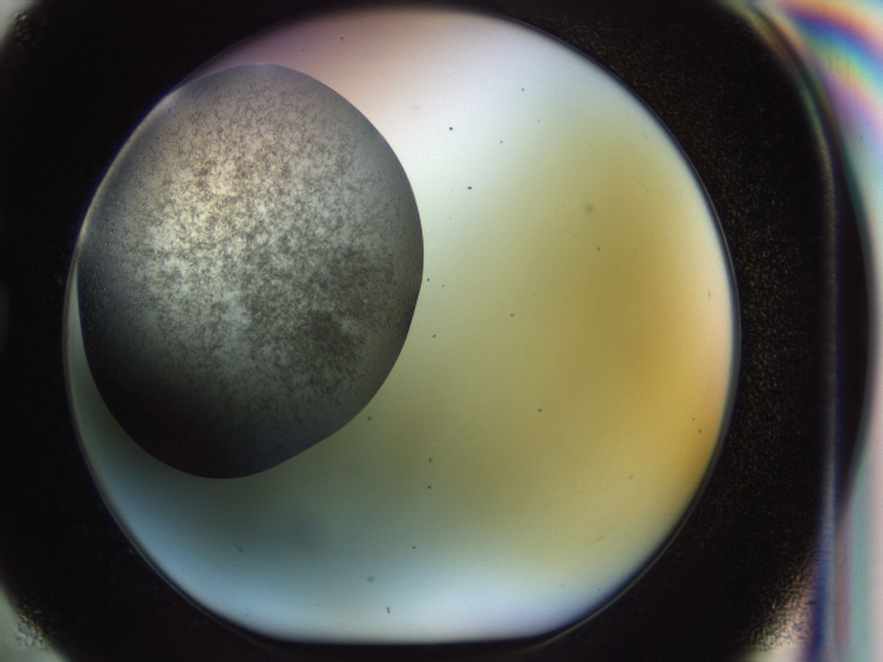 02oq_G4_ImagerDefaults_6.jpg
