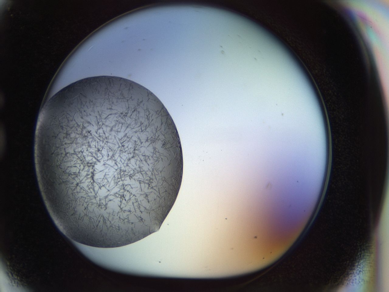 02oq_G9_ImagerDefaults_7.jpg