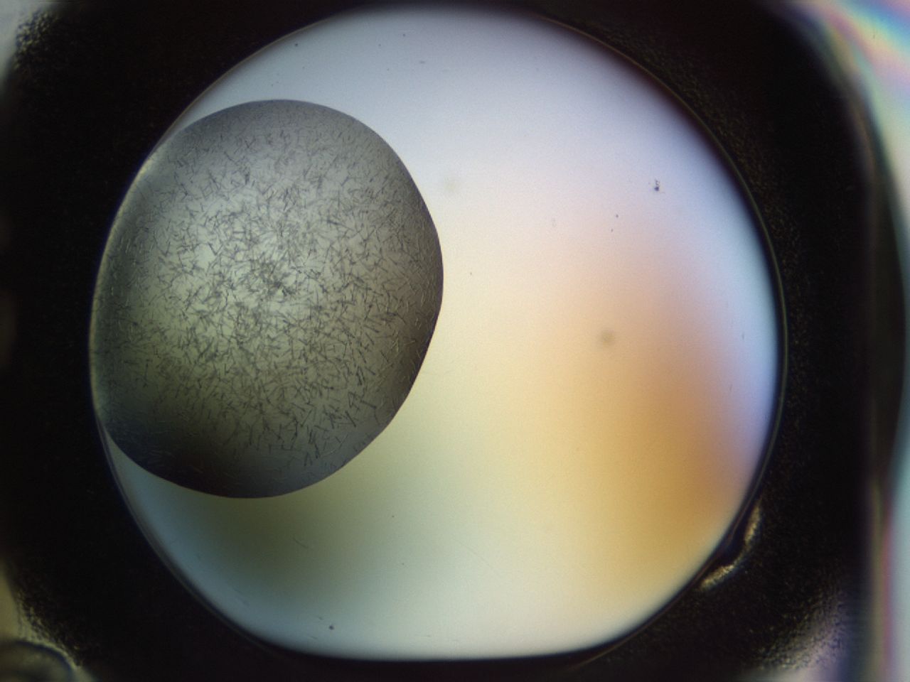 02oq_G10_ImagerDefaults_6.jpg