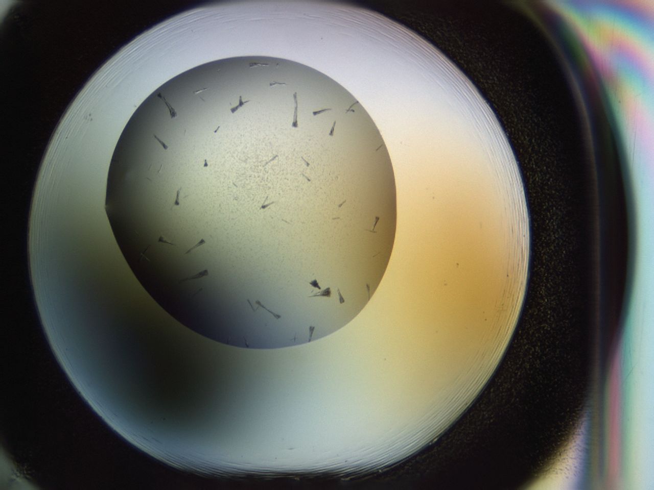 02oq_H1_ImagerDefaults_7.jpg