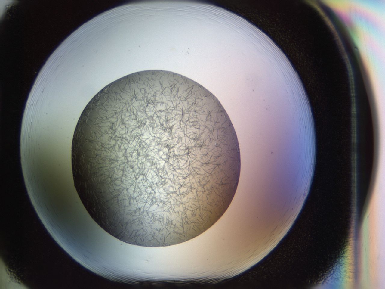 02oq_H2_ImagerDefaults_7.jpg
