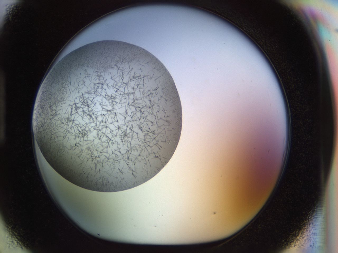 02oq_H9_ImagerDefaults_6.jpg