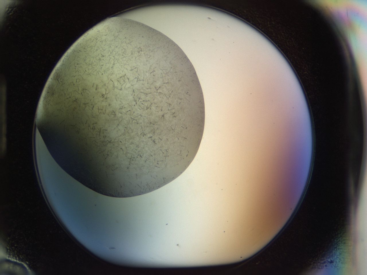 02oq_H10_ImagerDefaults_6.jpg