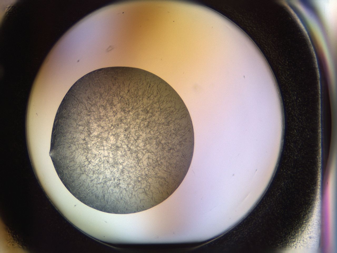 02or_F3_ImagerDefaults_6.jpg