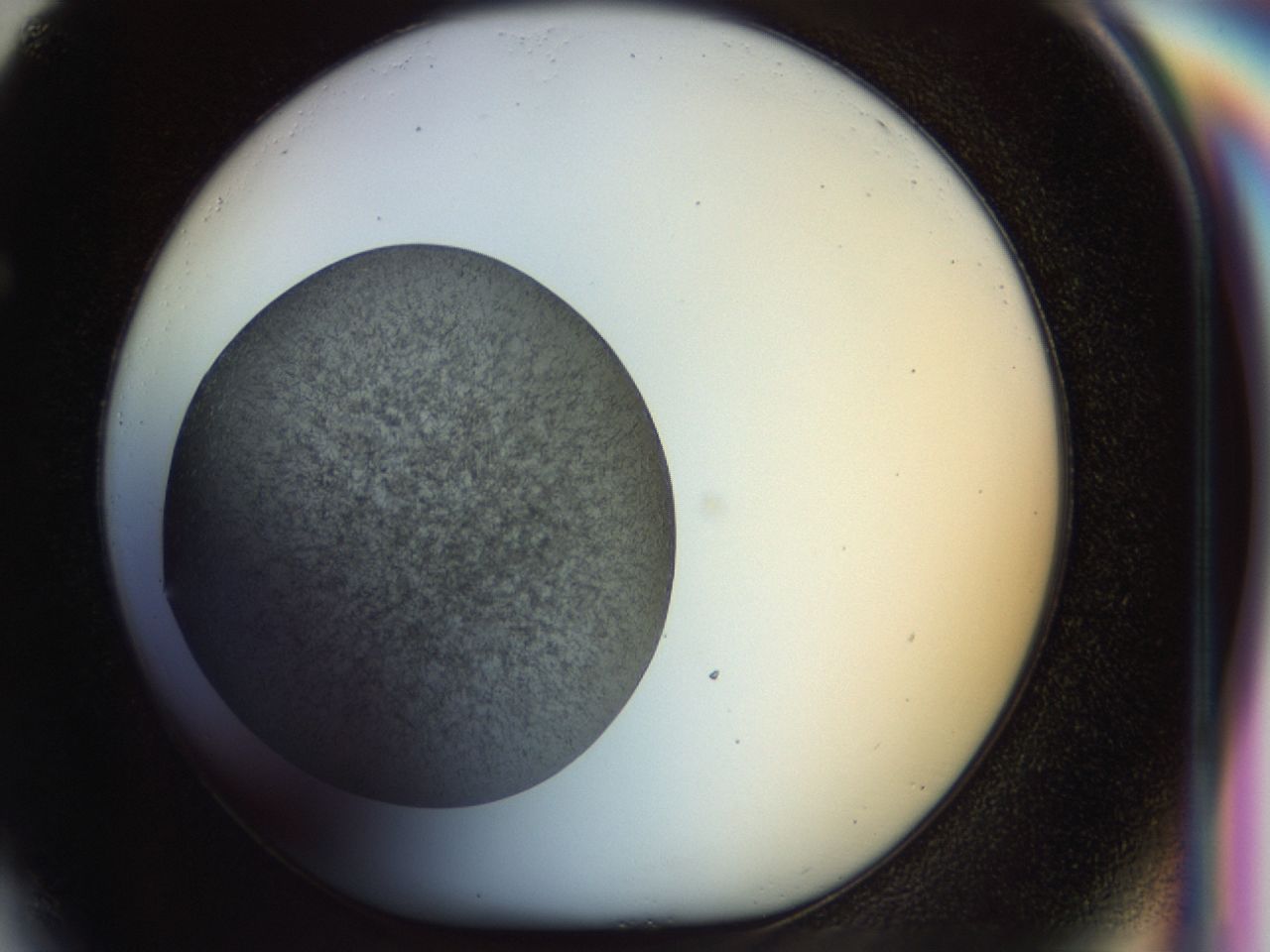 02or_F4_ImagerDefaults_6.jpg