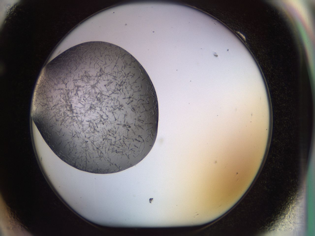 02or_F9_ImagerDefaults_7.jpg