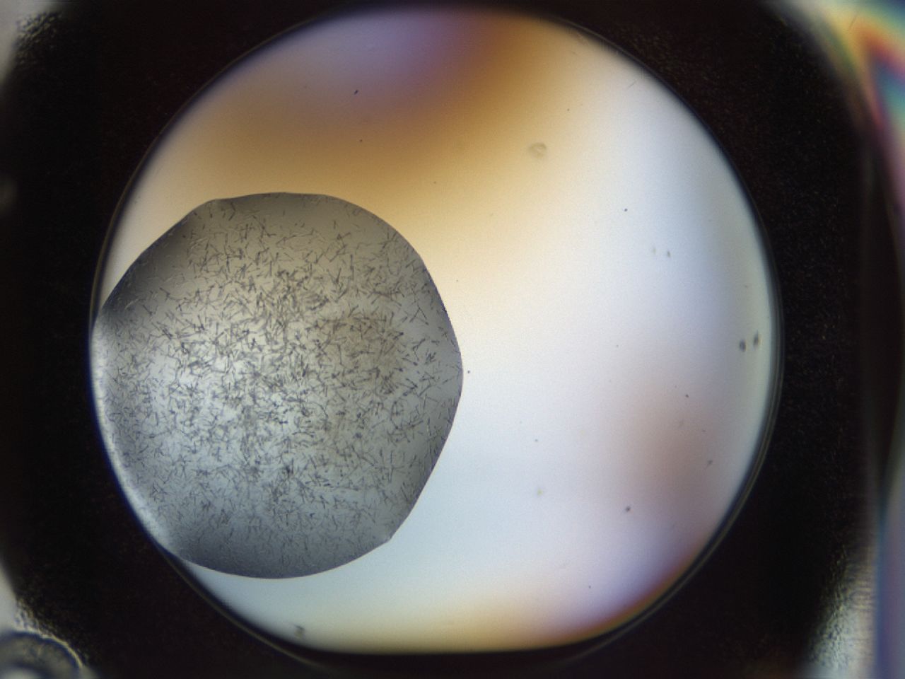 02or_F10_ImagerDefaults_6.jpg