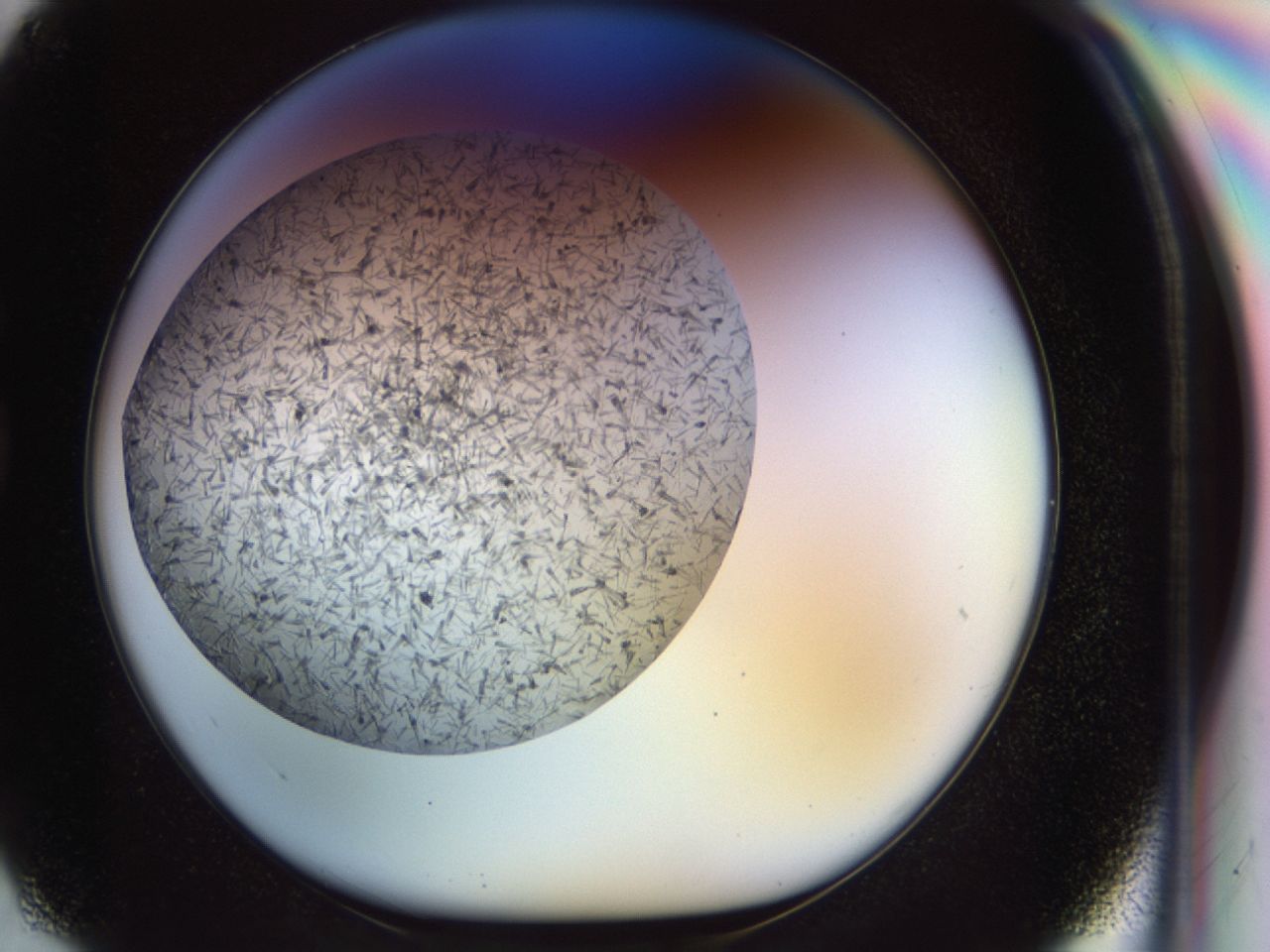 02or_G2_ImagerDefaults_6.jpg
