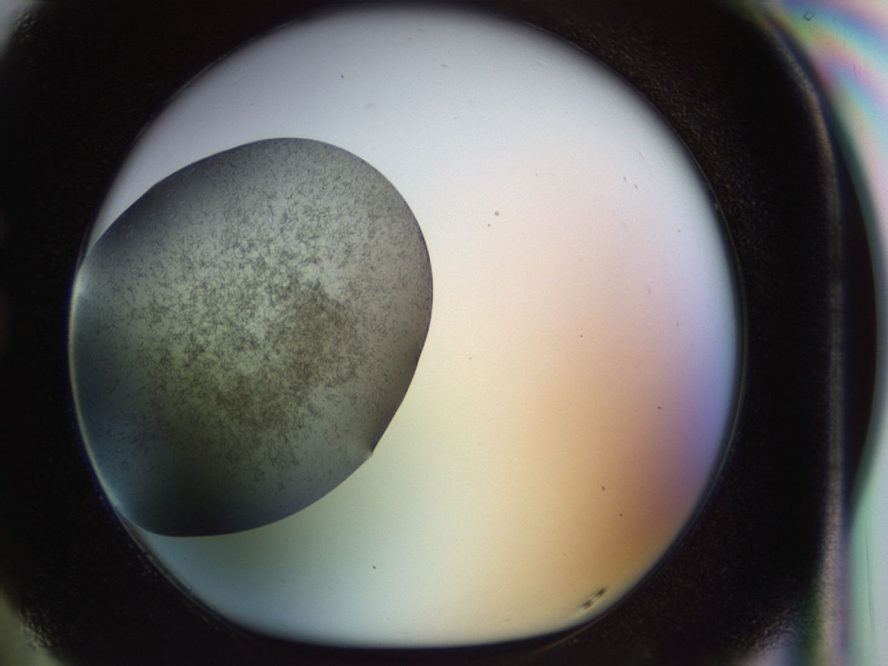 02or_G5_ImagerDefaults_6.jpg