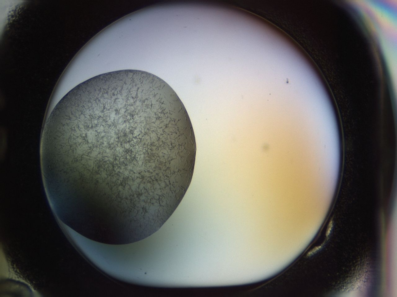 02or_G10_ImagerDefaults_6.jpg