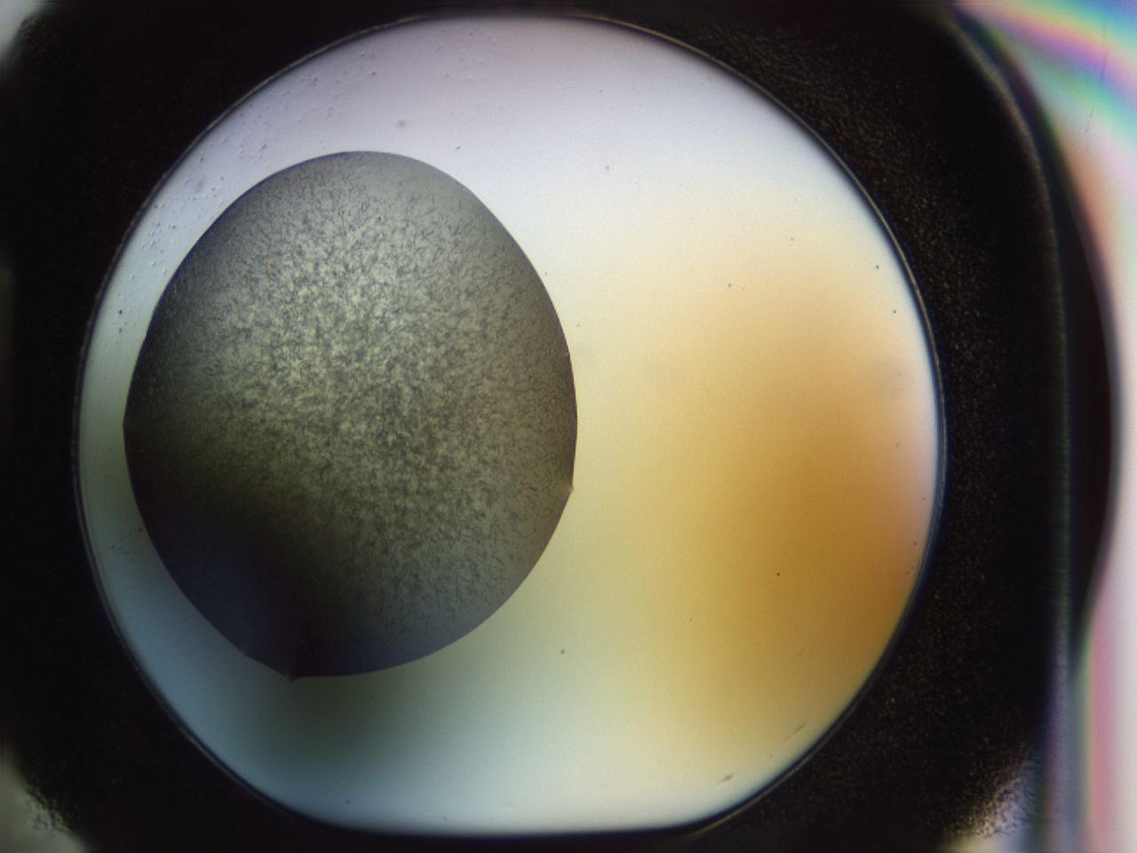 02or_H4_ImagerDefaults_6.jpg