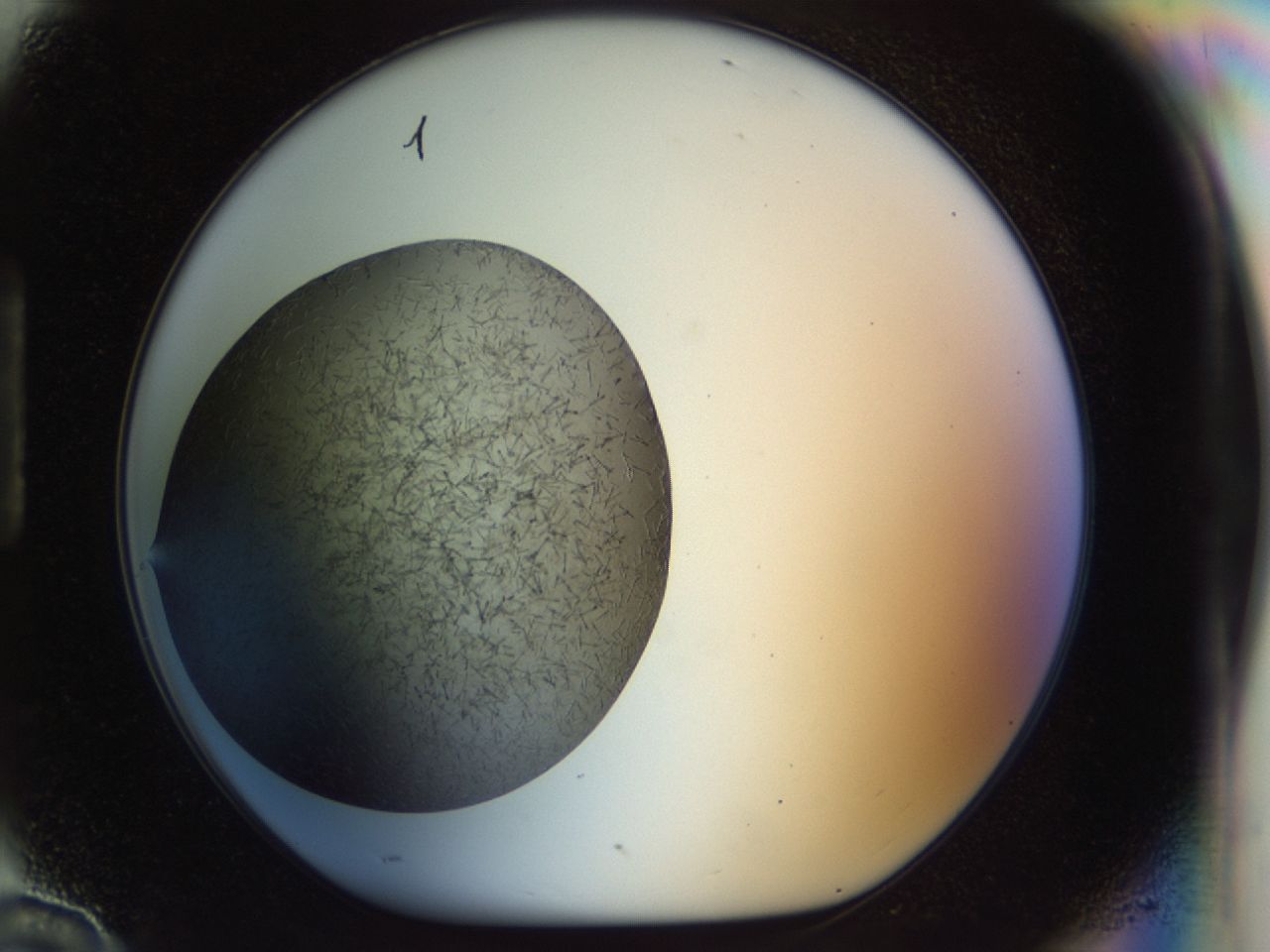 02or_H10_ImagerDefaults_6.jpg