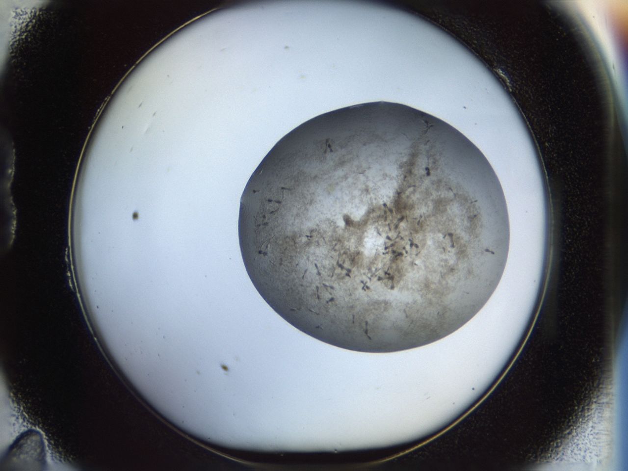 02or_B11_ImagerDefaults_6.jpg
