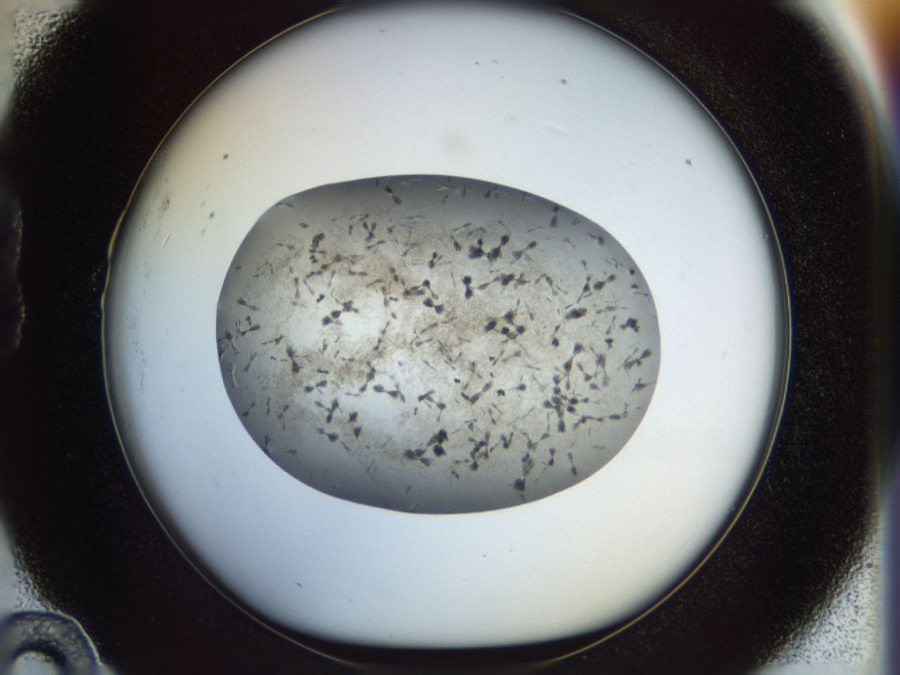 02or_B10_ImagerDefaults_7.jpg