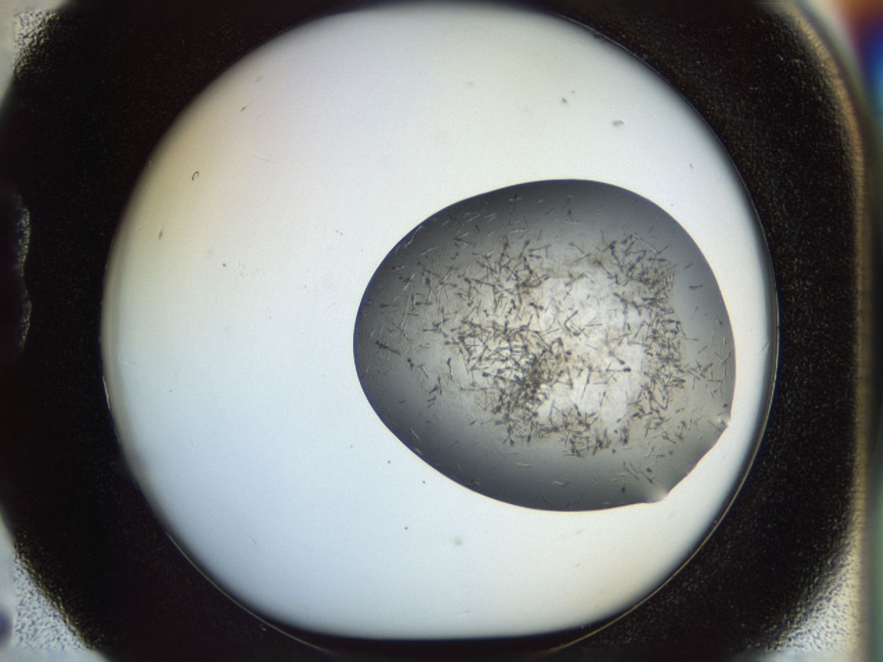02or_B5_ImagerDefaults_6.jpg