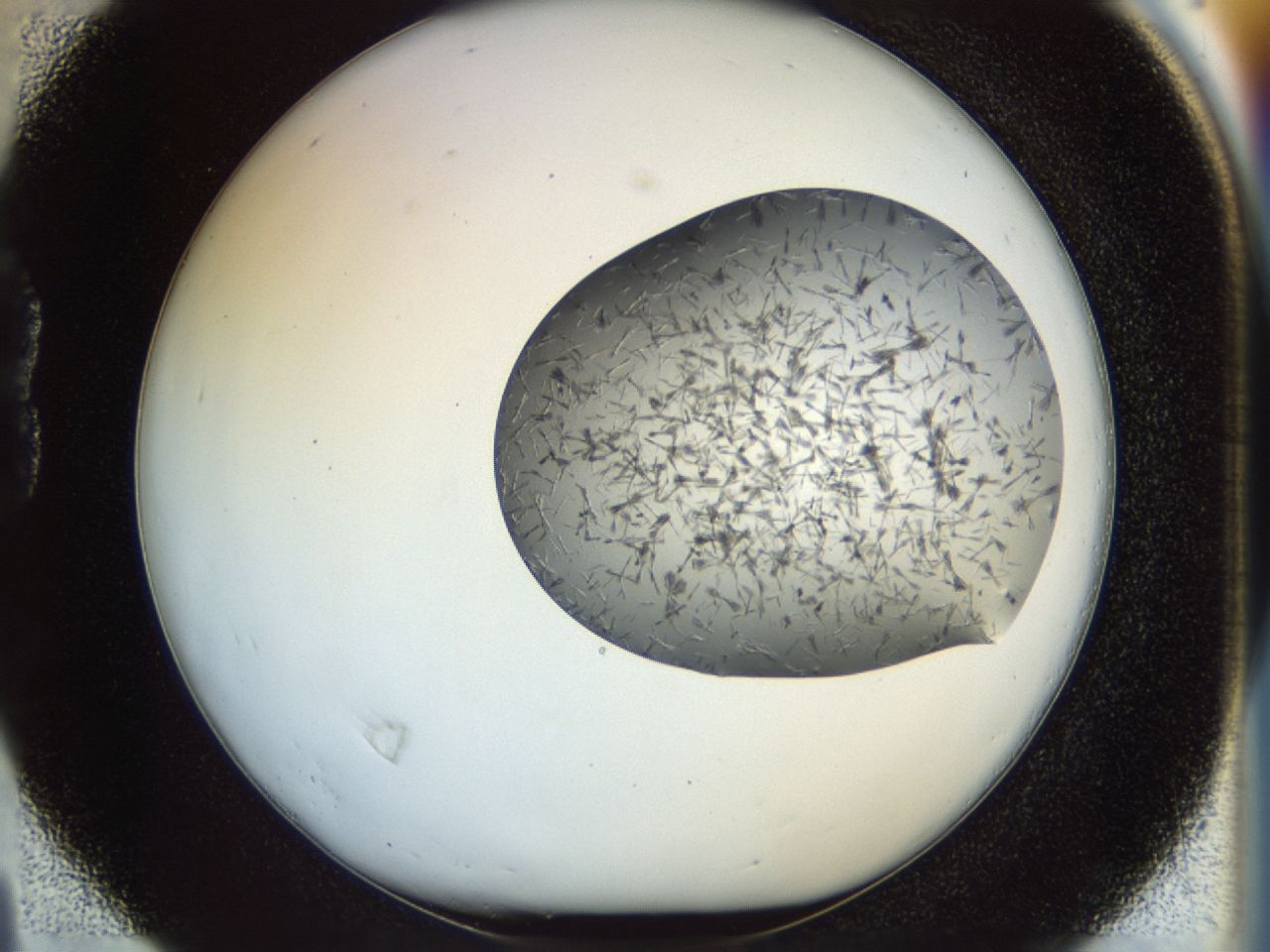02or_B4_ImagerDefaults_6.jpg
