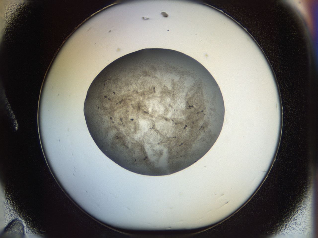 02or_A11_ImagerDefaults_6.jpg