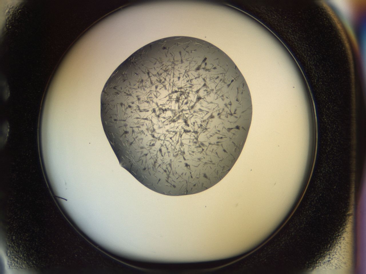 02or_C3_ImagerDefaults_6.jpg