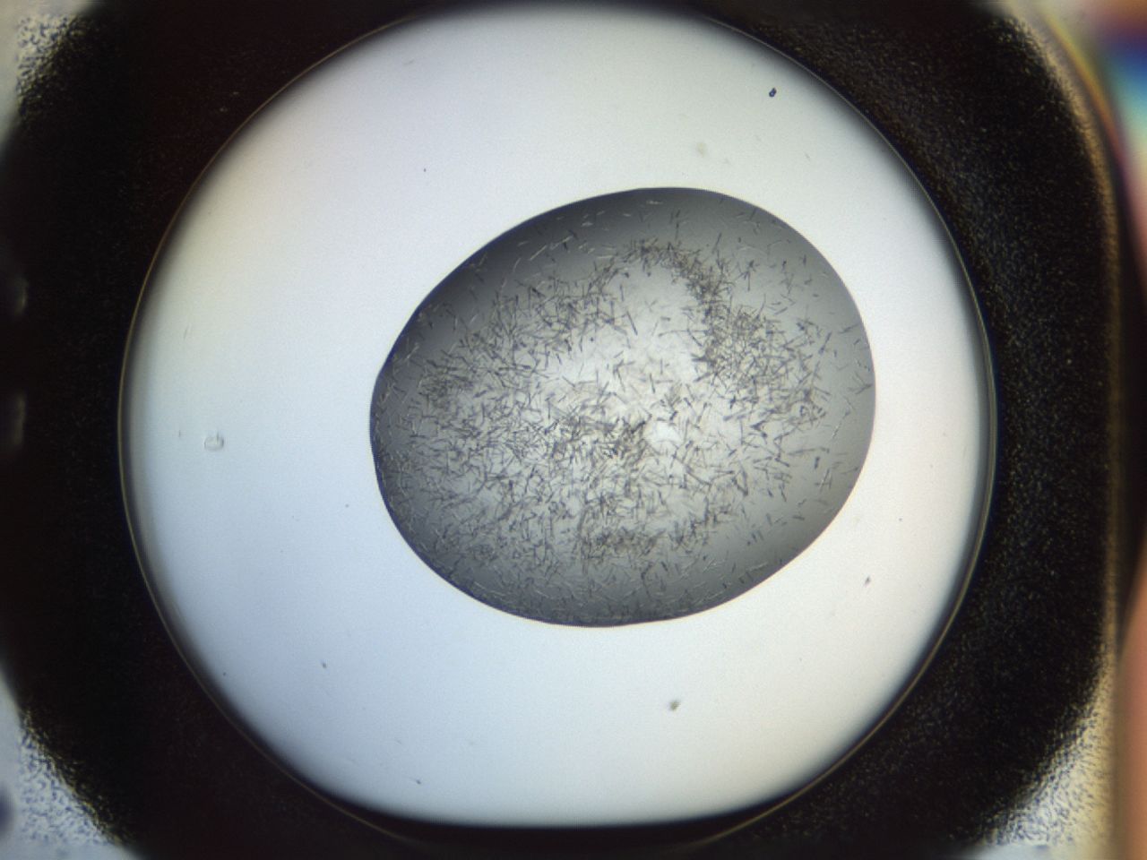 02or_C5_ImagerDefaults_6.jpg