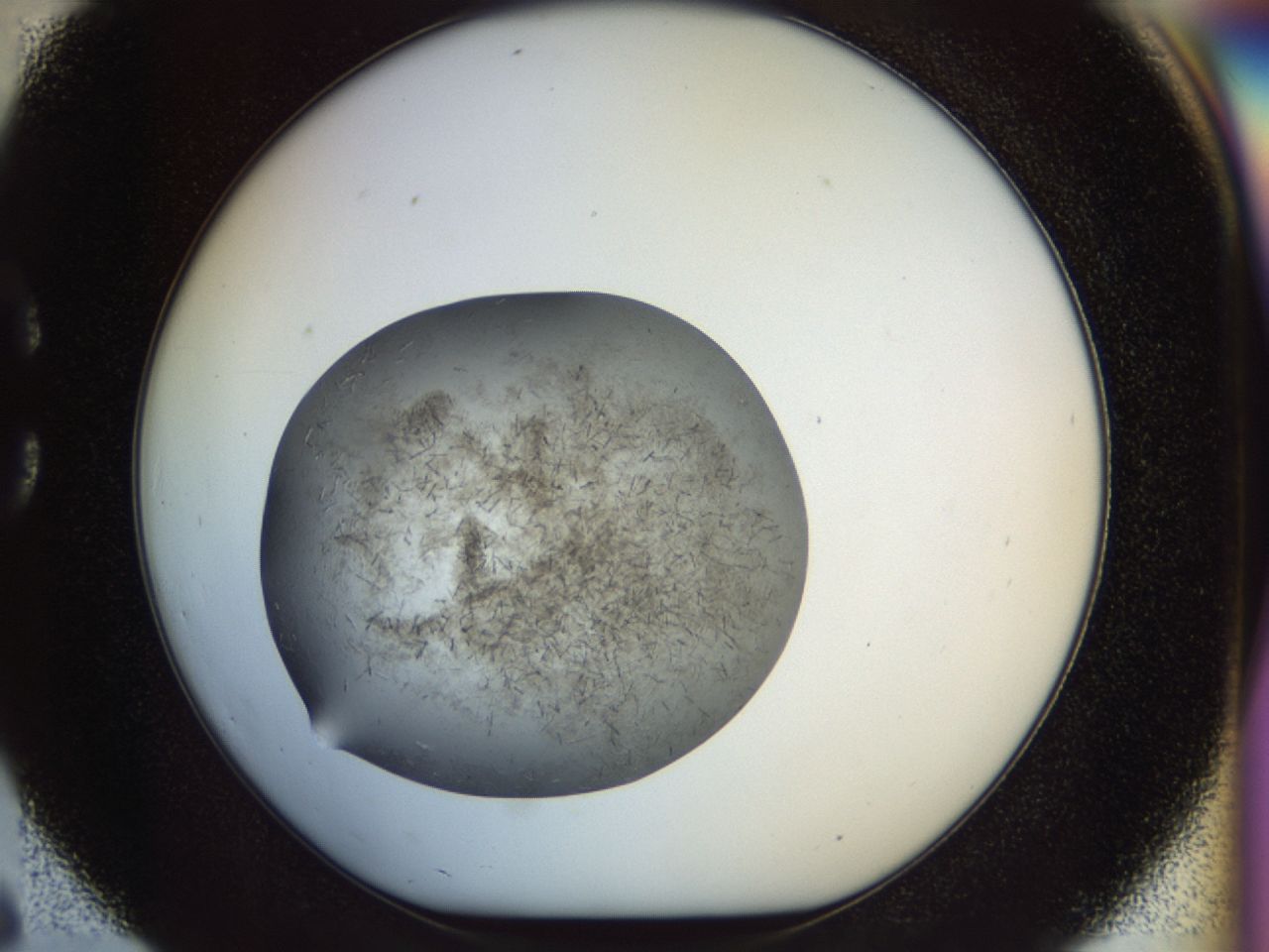 02or_C6_ImagerDefaults_6.jpg