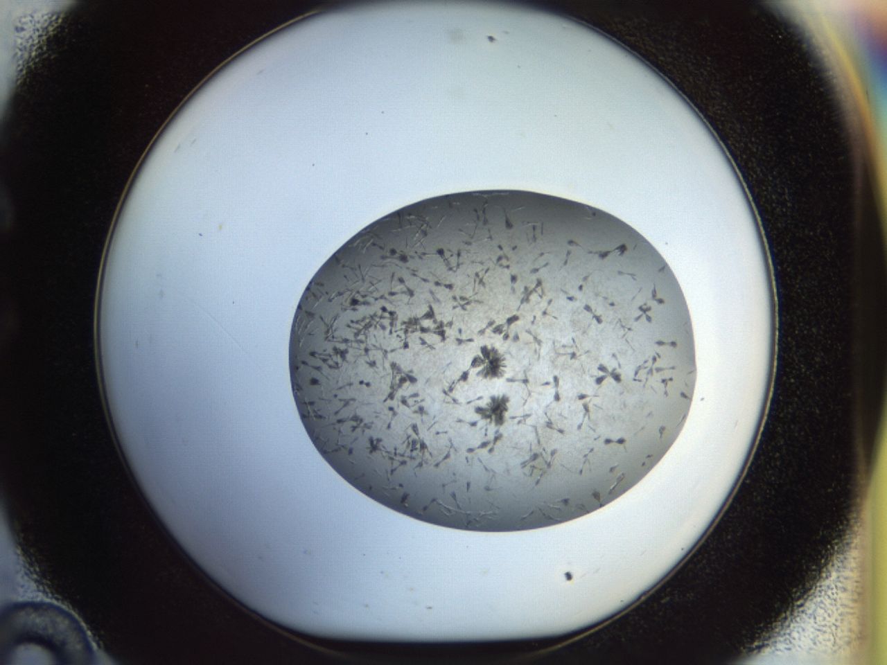 02or_C10_ImagerDefaults_7.jpg