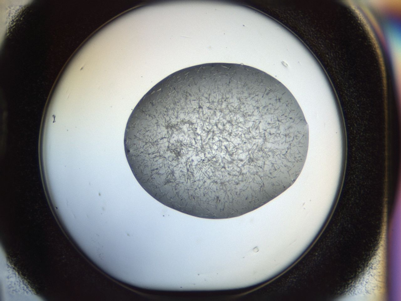 02or_D4_ImagerDefaults_6.jpg