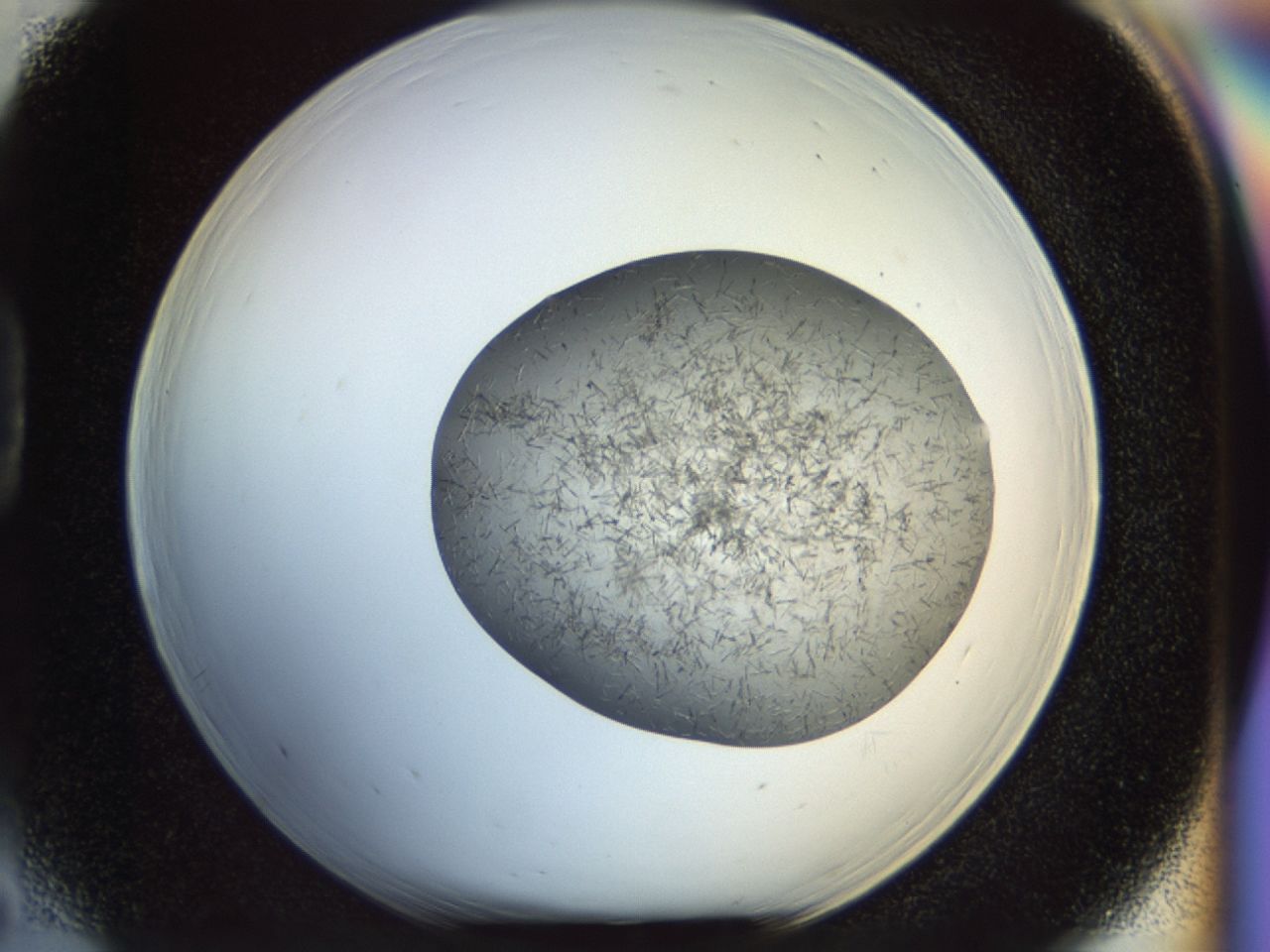 02or_D5_ImagerDefaults_6.jpg