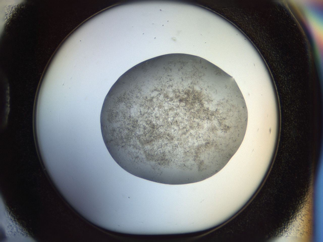 02or_D6_ImagerDefaults_6.jpg