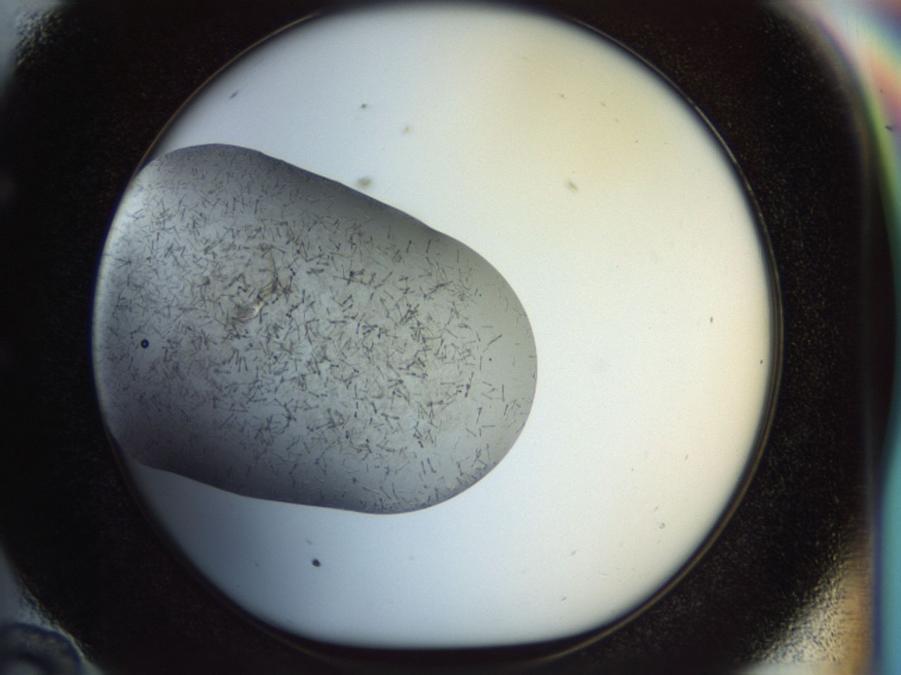 02or_E10_ImagerDefaults_6.jpg